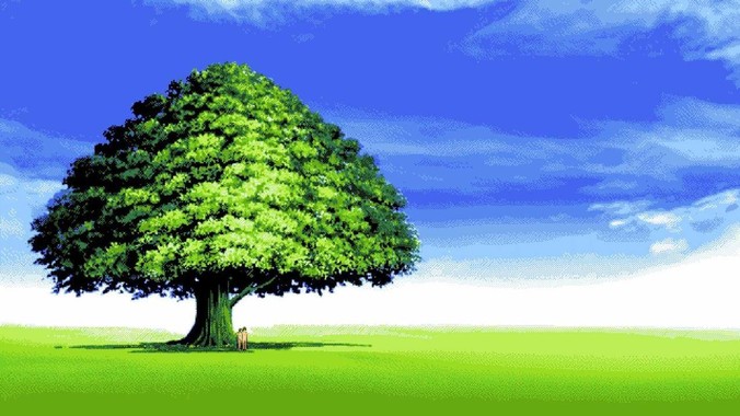 blog image
